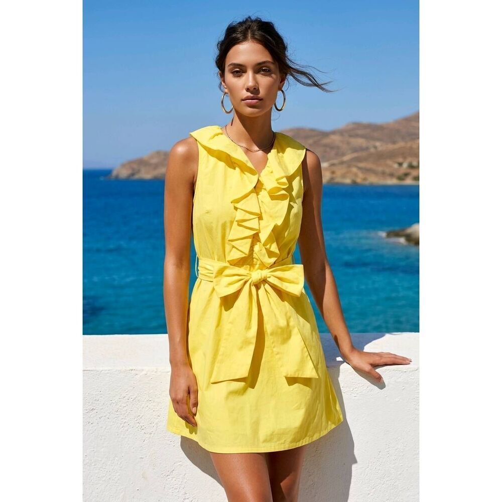 🔥Karlie Yellow Ruffled Chest & Belted Sleeveless Dress Small